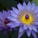 Christina Lowe - @christinarlowe - Twitter