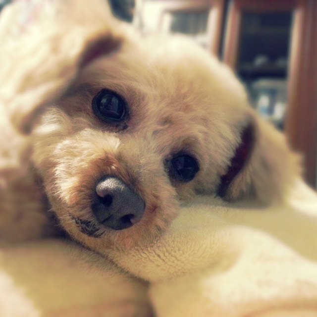 : ) ♡