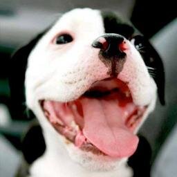 moneywithrudib's profile picture. I am a network and internet marketer helping people on a daily basis to break free and live their dreams. http://t.co/g8pXfY3bgP