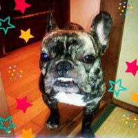 もっちゃん mocchitoy@instagram on Pinno: りっちゃんが向かって左