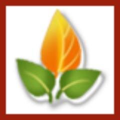 Get homemade #Natural #skincare products at http://t.co/JQOtQdcmHf. These homemade #remedies are made with natural ingredients.