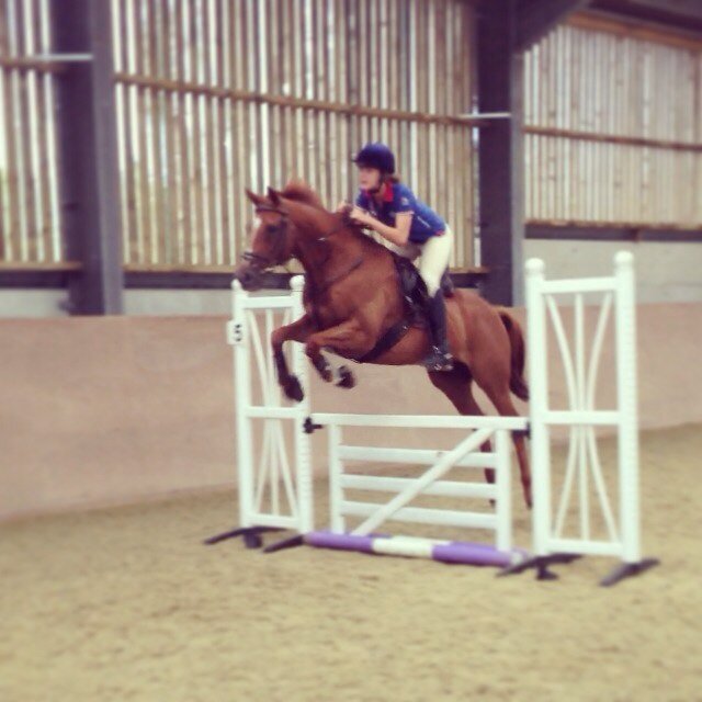HorsesMinty's profile picture. the highs and lows of my crazy horses! Competing in the main 3 disiciplines at grassroots level on 3 totally different wonderful horses, neighhh. 
I follow back