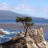 emilio penhos (@penhosemilio) 's Twitter Profile