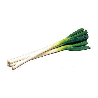 腐れ神に取り憑かれています。