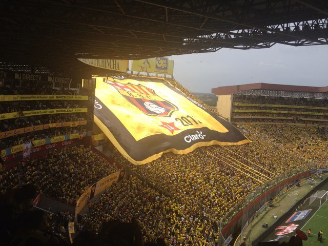 maritoluk's profile picture. 