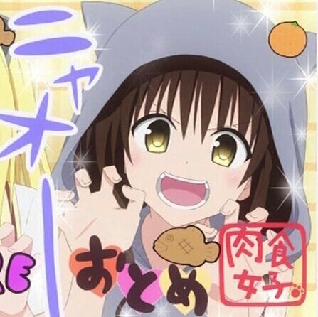 結城 美柑さんのプロフィール画像
