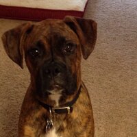Lisa (@llantrip) 's Twitter Profile