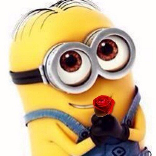 Bee do..bee do... 100% follow back..