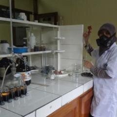 Department of Physics, Bogor Agricultural University/
Post Graduate Studies: Master of Science Biophysics/
Contact: anty_podungge@ymail.com