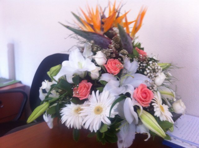 seldakrc26's profile picture. 