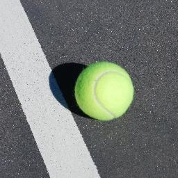 ProFlexTennis's profile picture. 