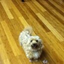 Steven Kinney - @stevelkinney - Twitter