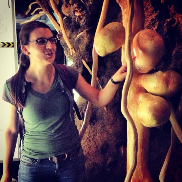 symbiomics's profile picture. Assoc Prof WA State, fascinated by how small things influence bigger things in mutualisms. I tweet science! Opinions my own.