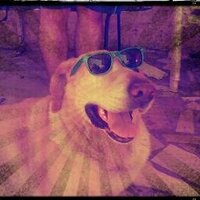 Swantino (@santipepper5) 's Twitter Profile