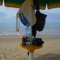 Lorraine Clark (@lorrain38004966) 's Twitter Profile Photo