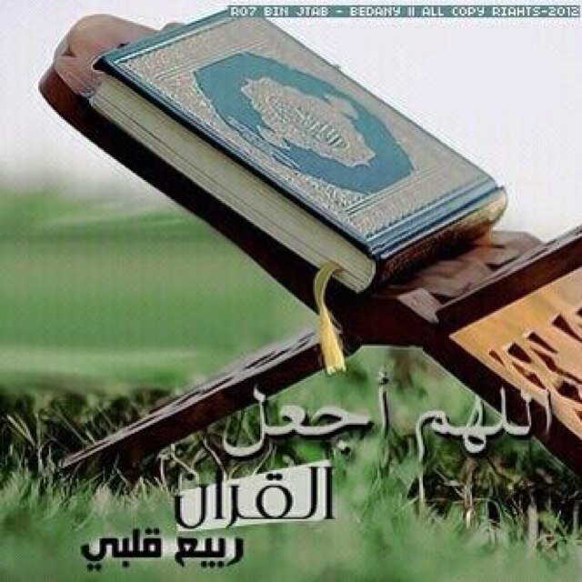 ‏نسبي ﻷل البيت عز لا يزول
وفضل لاتحيط به العقول،،

ابوكم فارس الهجاء علي
وامكم المطهرة  البتول ،،

كفاكم يابني الزهراء فخرا
اذا ماقيل جدكم (الرسول)