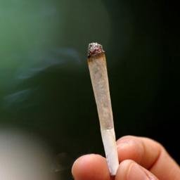 سيجارة حشيش هاتقولى ماشية ولا مصلحة هاقولك هتخليك مروحة (Hashish Cigarette).