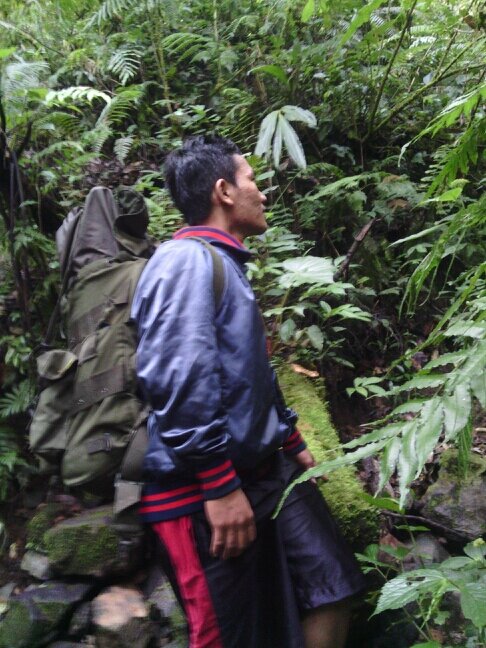 DedePln's profile picture. 