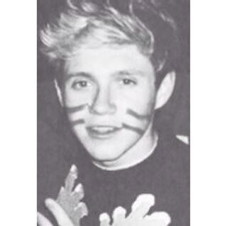 hiiii i gave ya a free follow so can you please follow @snuggsniall and @cinemazayn :) thanks ily