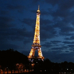 balancedcolor's profile picture. 