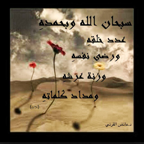 abohassan039 Profile Picture