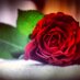 ƨђαιмα (@_sheeema) Twitter profile photo ƨђαιмα (@_sheeema) Twitter profile photo