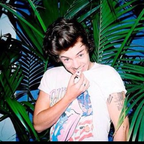 narrynasty's profile picture. I just gave you a free follow, so please follow @bxbblegumharry! She will follow back if you ask!