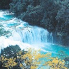 AMANTE DE LA NATURALEZA PREOCUPADA POR EL ENTORNO SOCIAL POLÍTICO Y ECONÓMICO DE MI PAIS