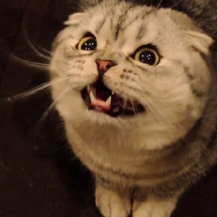 Helado_Oreo's profile picture. Ni me sigan, nunca se a donde voy, joven por siempre o alguna de esas mamadas