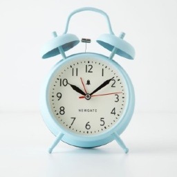 GISHWHES Alarm for Team NocturneMuse ♥ MishasManiacMinions ♥ assbuttmafia