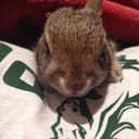 Mason Randall - @masonsvids - Twitter