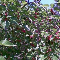 amorafemme's profile picture. Amora  - Amor a moda feminina