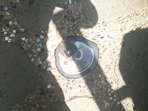 もう2度と行かない