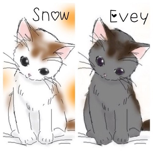 cute little kittys -3- #RP Evey: owner: @FerrisWood |Snow: Owner: @SonOfMystery