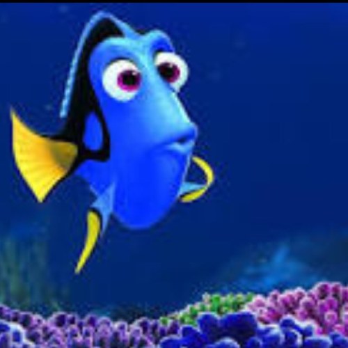 P. Sherman 42 Wallaby Way Sydney