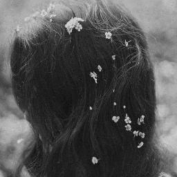 thewitheredone's profile picture. Happily Unhappy