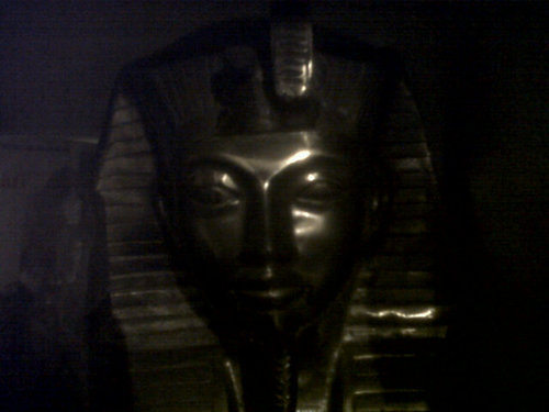 LaMomiaXXI's profile picture. Chavista ahora MAS q Nunca! Chavez vivirà por SIGLOS....esos diputaditos se hundiràn en el Olvido.Verguenza a los traidores