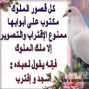 ((( ابوريان ))) (@0554310a) Twitter