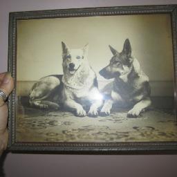 Vintage Collectable Bargains for you... (http://t.co/5MyfCJfG0J)