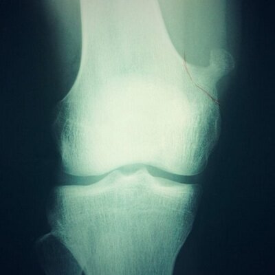 水頼走戌 Yutosegoe Twitter 水頼走戌 Yutosegoe Twitter