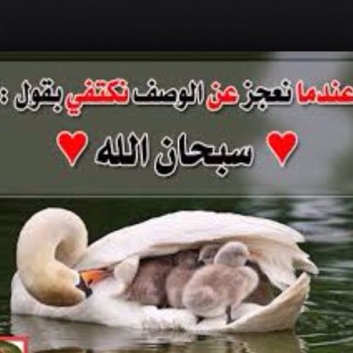 اللهم صلي على محمد