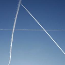 AIH_FORI1's profile picture. I help make noticeable who and what is out loud.