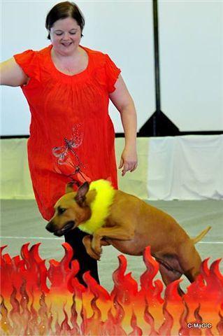 Our mission is to advance the sport of Canine Freestyle within the Western Province.