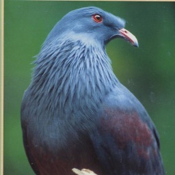 lepeuyvanna's profile picture. vis à Ouegoa  et travaille sur Pouebo