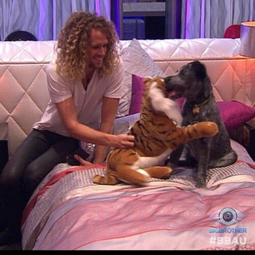 TEAM TIM BIG BROTHER 2013,WINNER OF BBAU 2013 Supporting The Curly haired crazy awesome Tim Dormer ❤ Did you Get that Tully?