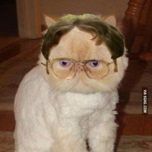 :3