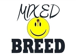 MixedBreed_twt's profile picture. MIXEDBREED is a rock band originating from South Florida. They are Don Goulbourne (Guitar) and Charles Blackshire (Bass/Vocals).
