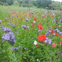 Curieuse de tout... et de métier. Le Limousin moulé à la louche #Limousin #Limoges #Creuse #Corrèze #HauteVienne