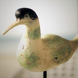 Hi, I am a seagull, and I am living in cafe ChaikaFamily beach club, that is placed in Jurmala, Pumpuri. I like this place, here is quiet, and tasty food. :)