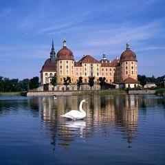 sabigcomm's profile picture. 